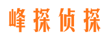 金城江找人公司